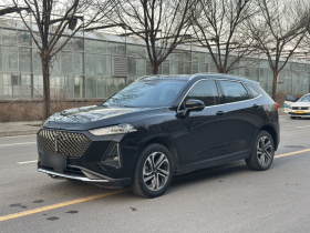 魏牌 玛奇朵DHT-PHEV 2021款 1.5L 大师版