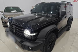 坦克300 2021款 越野版 2.0T 征服者