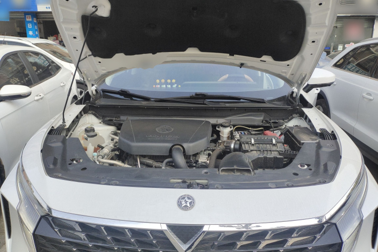 启辰大V 2022款 260T 黑马版·顶流机舱底盘24