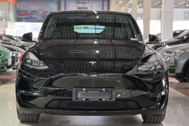 特斯拉 Model Y 2021款 标准续航后驱版车身外观6003