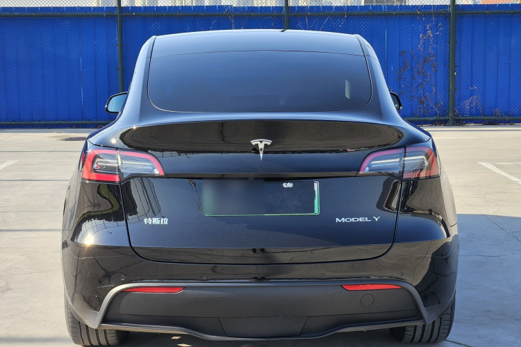 特斯拉 Model Y 2021款 标准续航后驱版车身外观6004