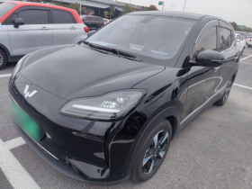 五菱汽车 五菱缤果PLUS 2024款 510km 旗舰版 四座版