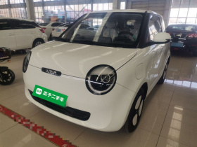 长安启源 长安Lumin 2024款 130km 清悦款