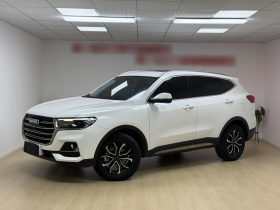 哈弗H6 2021款 国潮版 1.5T 自动都市版