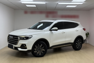 哈弗H6 2021款 国潮版 1.5T 自动都市版