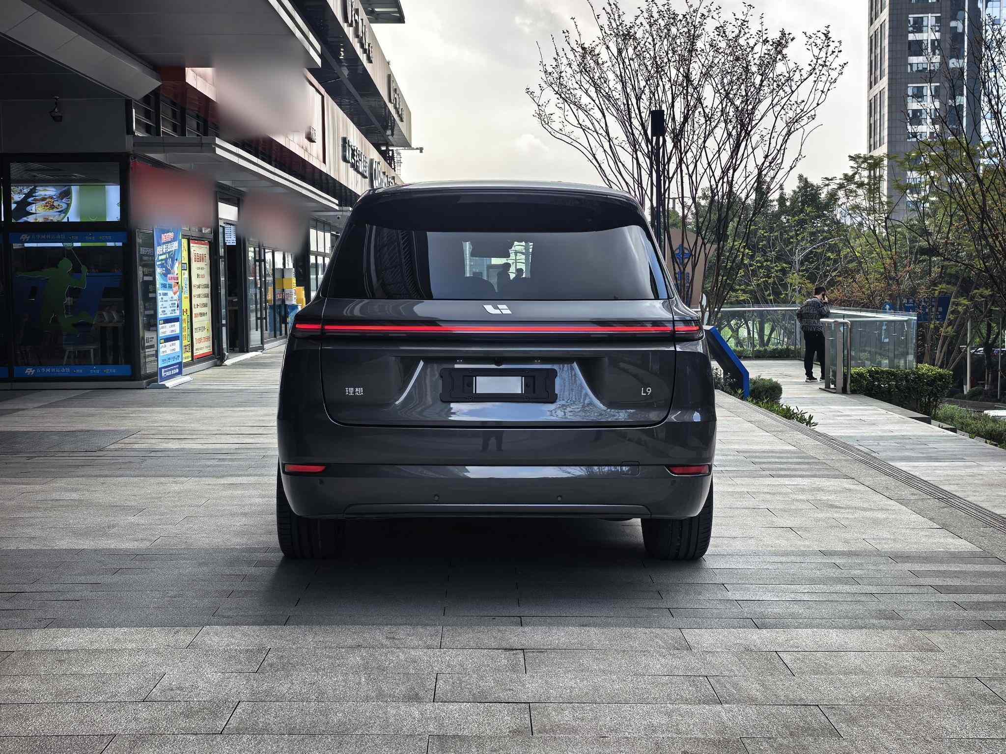 理想汽车 理想L9 2024款 Ultra(5)