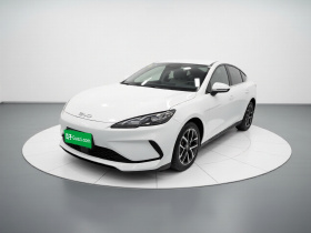 比亚迪 海豹05 DM-i 2025款 DM-i 智驾版 55KM豪华型