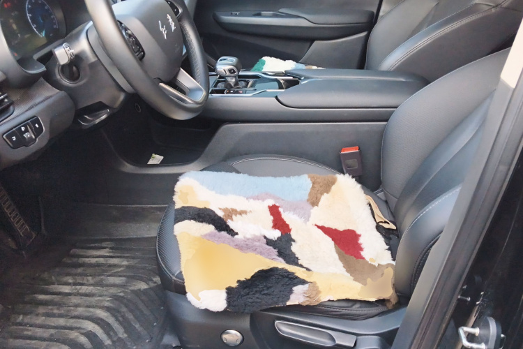 红旗E-QM5 2023款 基础出行版局部细节19