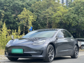 特斯拉 Model 3(进口) 2019款 长续航后驱版