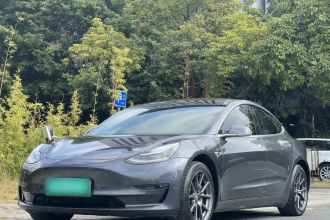 特斯拉 Model 3(进口) 2019款 长续航后驱版