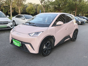 比亚迪 海鸥 2023款 飞翔版