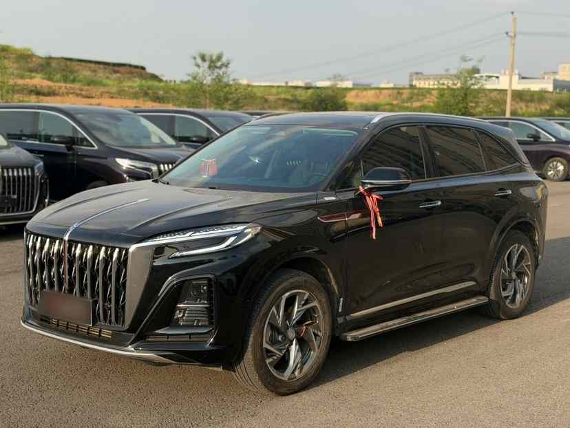 红旗HS3 PHEV 2024款 115km 劲为版(1)