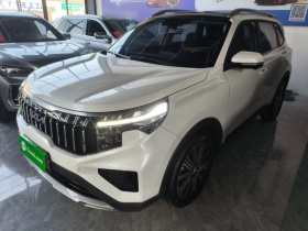 起亚 智跑 2021款 Ace 2.0L 精彩版