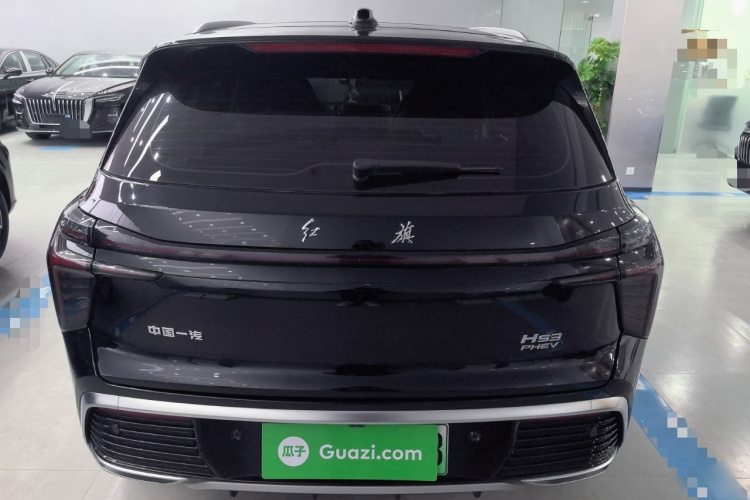 红旗HS3 PHEV 2024款 PHEV 115km 劲为版车身外观6