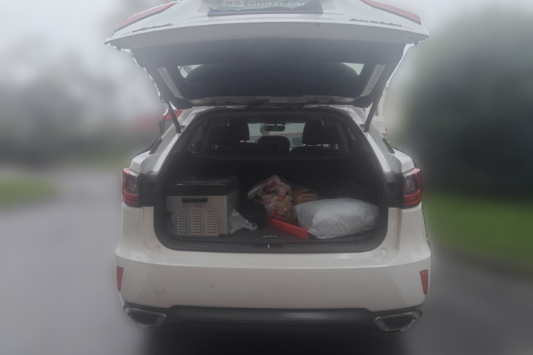 雷克萨斯RX 2016款 300 两驱精英版 国V局部细节23