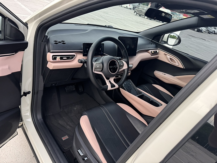 比亚迪 海鸥 2023款 飞翔版