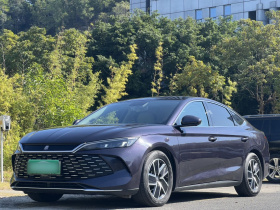 比亚迪 秦L 2024款 DM-i 80KM超越型