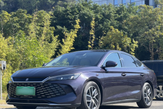 比亚迪 秦L 2024款 DM-i 80KM超越型