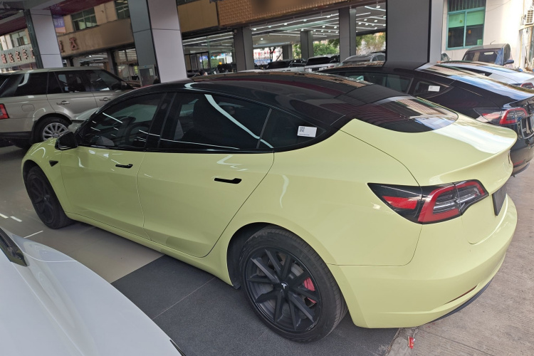 特斯拉 Model 3 2019款 标准续航后驱升级版车身外观6003