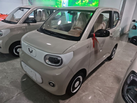 五菱汽车 宏光MINIEV 2024款 第三代 215km 青春版