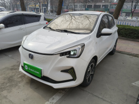 长安欧尚 奔奔E-Star 2022款 清心版 多彩款 磷酸铁锂