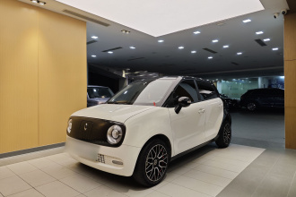 欧拉黑猫 2021款 351km 豪华型