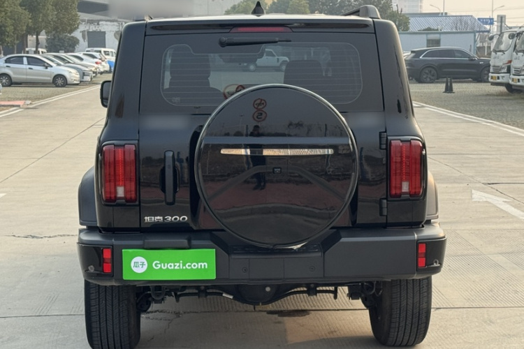 坦克300 2024款 2.0T 挑战者车身外观6006