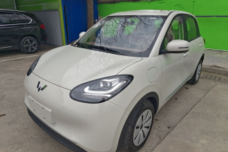 五菱汽车 五菱缤果 2025款 203km 轻享款