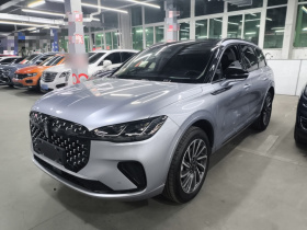 林肯 冒险家 2024款 1.5T 两驱尊雅混动版