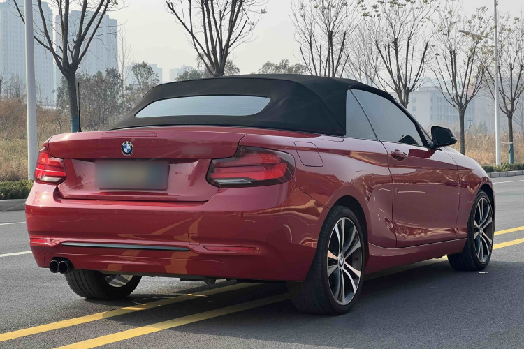 宝马2系(进口) 2019款 225i 敞篷轿跑车 运动设计套装车身外观6011