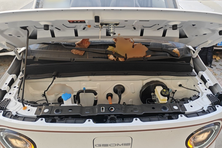 吉利银河 2024款 熊猫mini 200km 耐力熊局部细节24