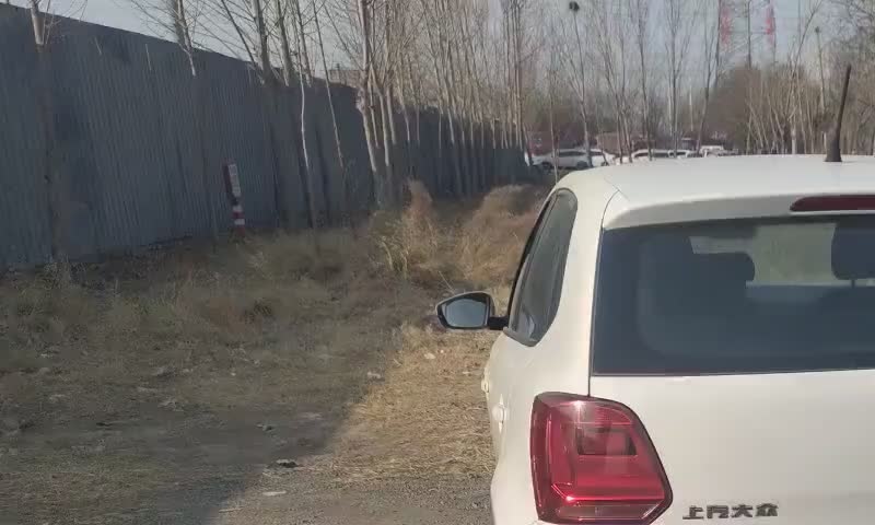 大众 Polo 2016款 1.4L 手动风尚型实拍1