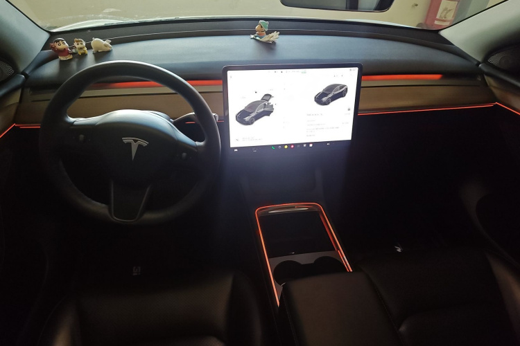 特斯拉 Model Y 2021款 标准续航后驱版中控内饰12