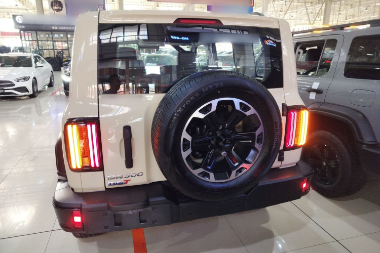 坦克300新能源 2025款 Hi4-T车身外观6