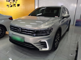 大众 途观L新能源 2021款 430PHEV 插电混动尊贵版