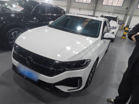 大众 朗逸 2024款 1.5L 自动星空五百万版