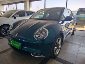 欧拉好猫 2023款 401km标准续航 豪华型 磷酸铁锂