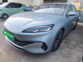 比亚迪 海豹06新能源 2024款 DM-i 80KM尊贵型