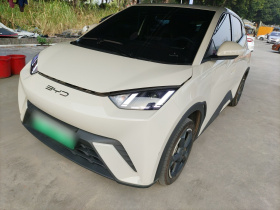 比亚迪 海鸥 2024款 荣耀版 405km 飞翔版