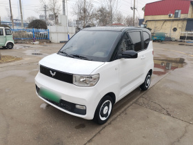 五菱汽车 宏光MINIEV 2022款 轻松款 磷酸铁锂