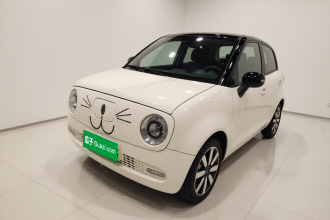 欧拉黑猫 2021款 351km 豪华型