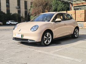 欧拉好猫 2023款 401km标准续航 豪华型 磷酸铁锂