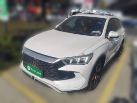 比亚迪 宋Pro新能源 2023款 冠军版 DM-i 110KM超越型