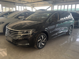 大众 威然 2023款 改款 330TSI 豪华版