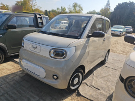 五菱汽车 宏光MINIEV 2024款 第三代 215km 青春版