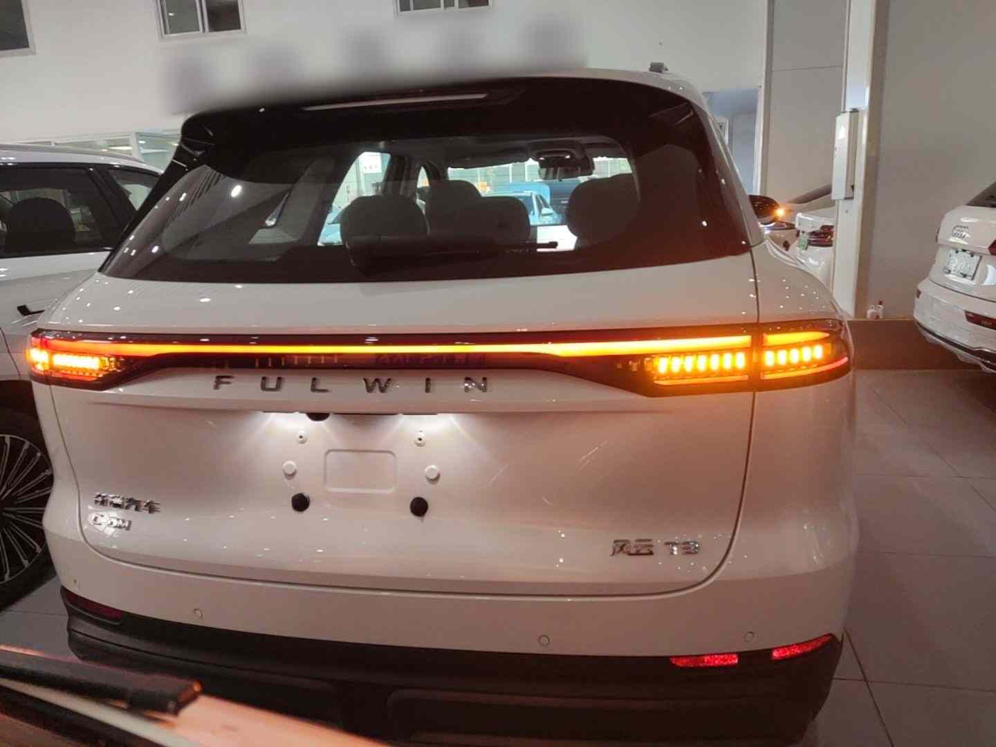 奇瑞风云 风云T9 2025款 120 长续航版旗舰型 5座 磷酸铁锂(3)