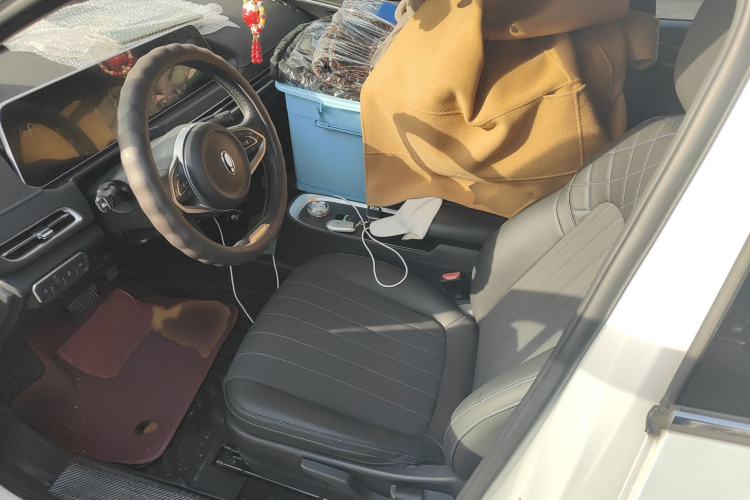 欧拉好猫 2021款 400km标准续航 维纳斯版 磷酸铁锂局部细节19