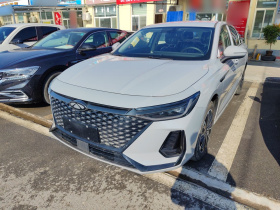 奇瑞 风云A8 2024款 127 出行版