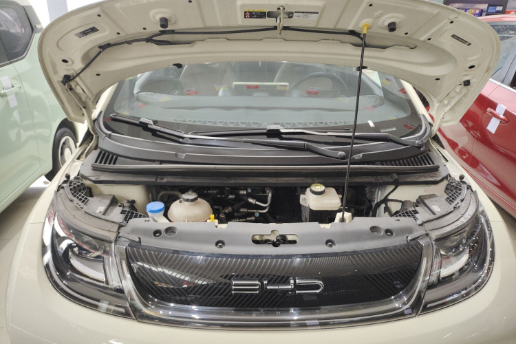 比亚迪 海豚 2023款 420km 时尚版局部细节24