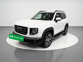 哈弗大狗 2021款 1.5T DCT两驱马犬-旺财版